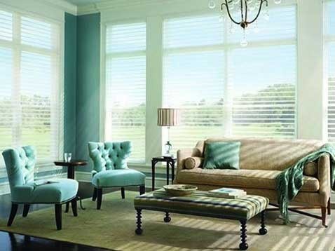 Eclectic living room showcasing Hunter Douglas Silhouette shades